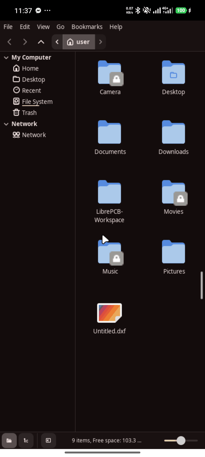 The Nemo file manager with Tessera's Material You theme